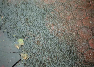 A Close up shot of raindrops creating ripples on a wet pavement during monsoon rainfall