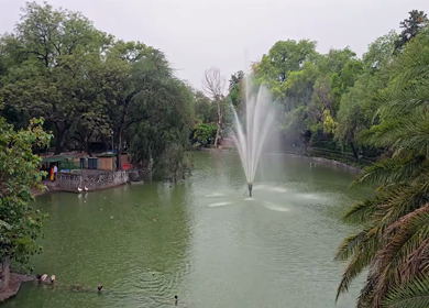 A Shot of Park Lake with Fountain in Delhi India