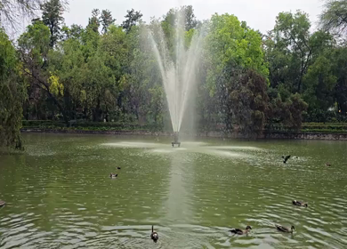 A Shot of Park Lake with Fountain in Delhi India