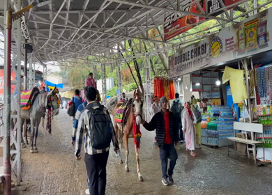 20th March 2026 : A Shot of Pilgrims Going to Mata Vaishno Devi Temple During Navratri Festival India