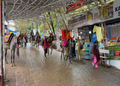 20th March 2026 : A Shot of Pilgrims Going to Mata Vaishno Devi Temple During Navratri Festival India