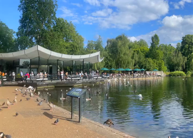 A Shot of Serpentine Lake at Hyde Park in London England