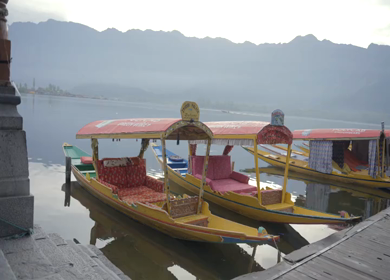 20th April 2026 : A Shot of Shikara Boats on Dal Lake Srinagar, Kashmir, India