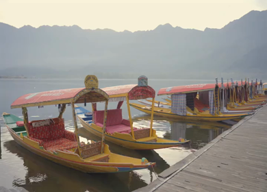 20th April 2026 : A Shot of Shikara Boats on Dal Lake Srinagar, Kashmir, India