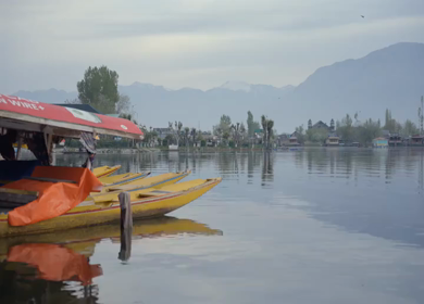 20th April 2026 : A Shot of Shikara Boats on Dal Lake Srinagar, Kashmir, India