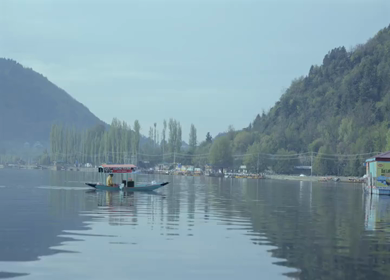 20th April 2026 : A Shot of Shikara Boats on Dal Lake Srinagar, Kashmir, India