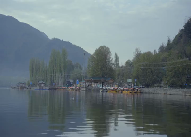 A Shot of Shikara Boats on Dal Lake Srinagar, Kashmir, India