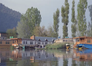 A Shot of Shikara Boats on Dal Lake Srinagar, Kashmir, India