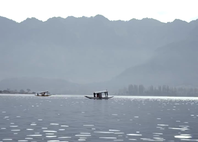 A Shot of Shikara Boats on Dal Lake Srinagar, Kashmir, India