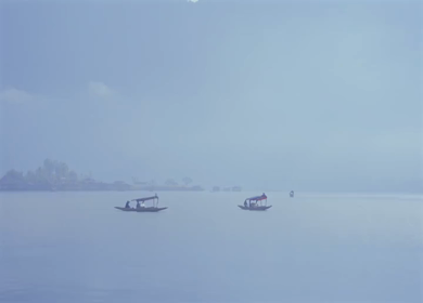 A Shot of Shikara Boats on Dal Lake Srinagar, Kashmir, India