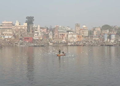 A slow motion shot of birds at Ganga Ghat at Varansi,Banaras, Uttar Pradesh,India