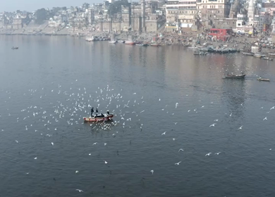 A slow motion shot of birds at Ganga Ghat at Varansi,Banaras, Uttar Pradesh,India