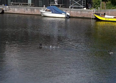 A Slow Motion Shot of Boat and Bridge from boat in Canal Amsterdam