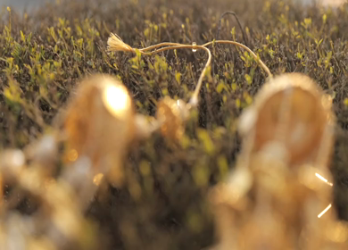 A Slow Motion Shot of Indian Wedding Jewellery in India