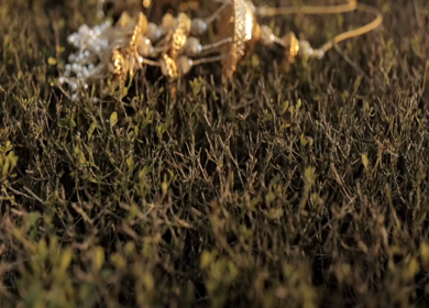 A Slow Motion Shot of Indian Wedding Jewellery in India