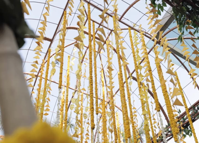 A Slow Motion Shot of an Indian Wedding Venue Decoration in India