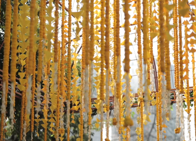 A Slow Motion Shot of an Indian Wedding Venue Decoration in India