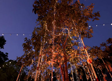 A Slow Motion Shot of an Indian Wedding Venue Decoration in India