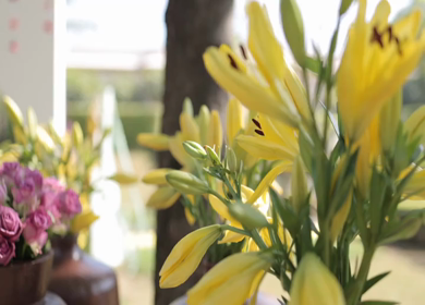 A Slow Motion Shot of an Indian Wedding Venue Decoration in India