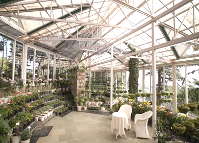 A Slow Motion Shot of an Indian Wedding Venue Decoration in India