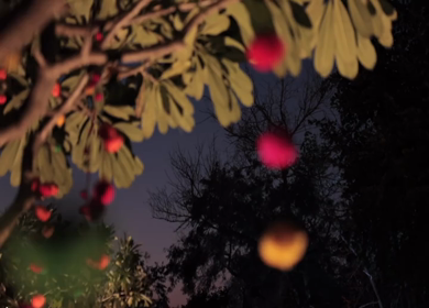 A Slow Motion Shot of an Indian Wedding Venue Decoration in India