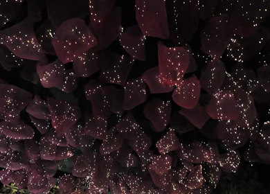 A Slow Motion Shot of an Indian Wedding Venue Decoration in India