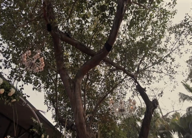 A Slow Motion Shot of an Indian Wedding Venue Decoration in India