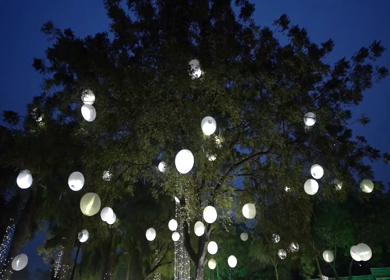 A Slow Motion Shot of an Indian Wedding Venue Decoration in India