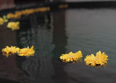 A Slow Motion Shot of an Indian Wedding Venue Decoration in India