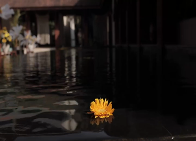 A Slow Motion Shot of an Indian Wedding Venue Decoration in India