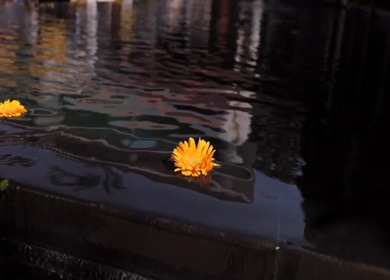 A Slow Motion Shot of an Indian Wedding Venue Decoration in India