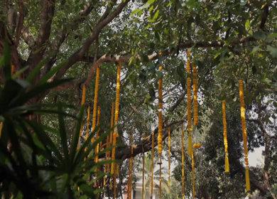 A Slow Motion Shot of an Indian Wedding Venue Decoration in India