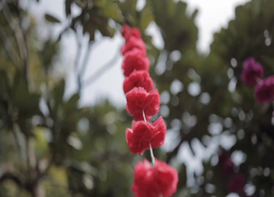 A Slow Motion Shot of an Indian Wedding Venue Decoration in India