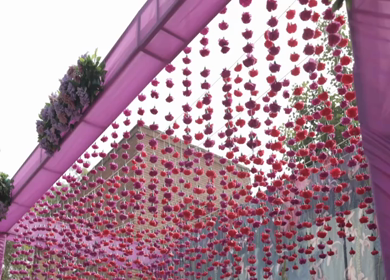 A Slow Motion Shot of an Indian Wedding Venue Decoration in India