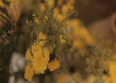 A Slow Motion Shot of an Indian Wedding Venue Decoration in India