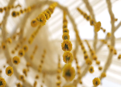 A Slow Motion Shot of an Indian Wedding Decoration in India