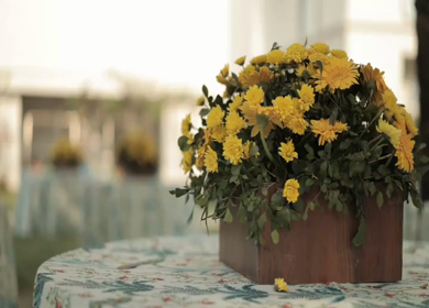 A Slow Motion Shot of an Indian Wedding Venue Decoration in India