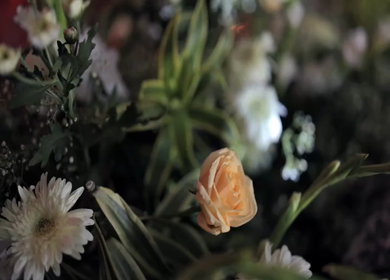 A Slow Motion Shot of an Indian Wedding Venue Decoration in India