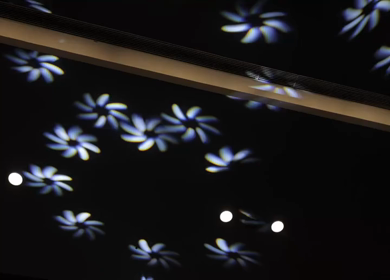 A Slow Motion Shot of an Indian Wedding Venue Decoration in India