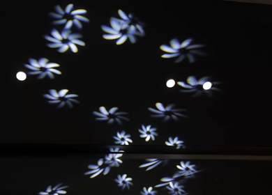 A Slow Motion Shot of an Indian Wedding Venue Decoration in India