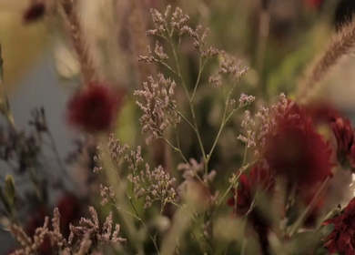 A Slow Motion Shot of an Indian Wedding Venue Decoration in India