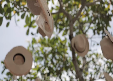 A Slow Motion Shot of an Indian Wedding Venue Decoration in India