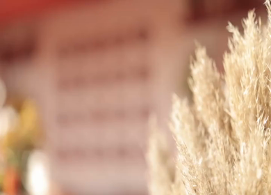 A Slow Motion Shot of an Indian Wedding Venue Decoration in India