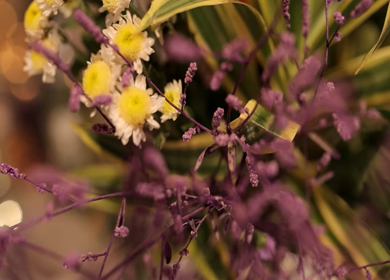 A Slow Motion Shot of an Indian Wedding Decoration in India