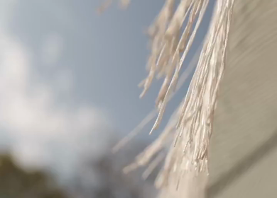 A Slow Motion Shot of an Indian Wedding Venue Decoration in India