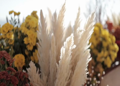 A Slow Motion Shot of an Indian Wedding Venue Decoration in India