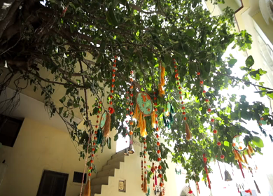9th February, 2024 : A Slow Motion Shot of an Indian Wedding Decoration