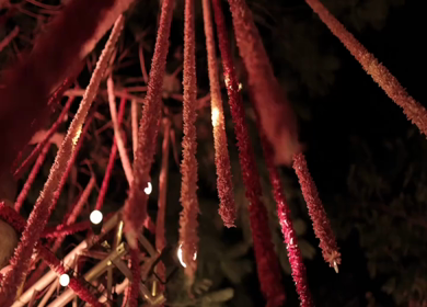 A Slow Motion Shot of an Indian Wedding Venue Decoration in India