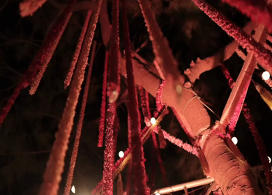 A Slow Motion Shot of an Indian Wedding Venue Decoration in India