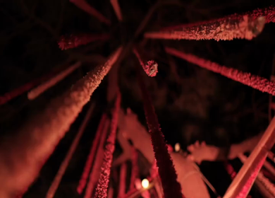 A Slow Motion Shot of an Indian Wedding Venue Decoration in India